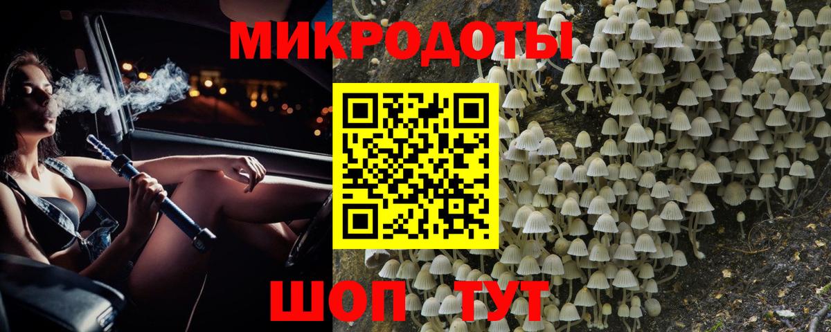 Галлюциногенные грибы Psilocybe Касимов