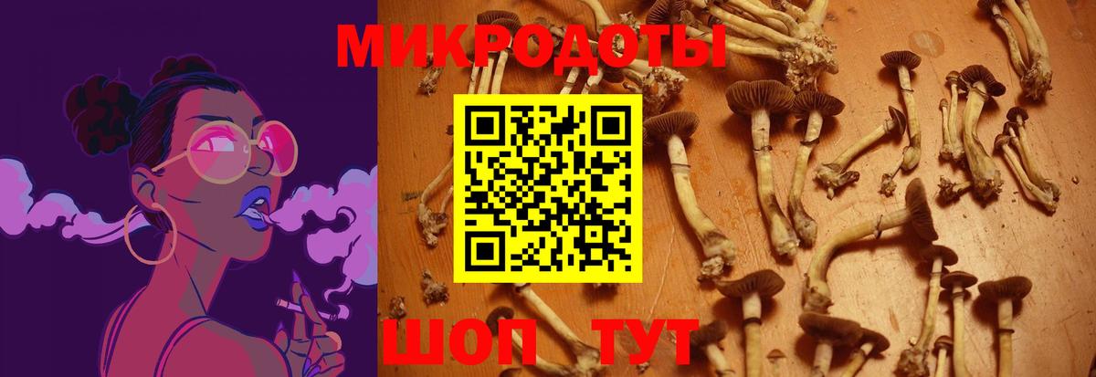 Галлюциногенные грибы Psilocybine cubensis  Вход с VPN  Касимов 